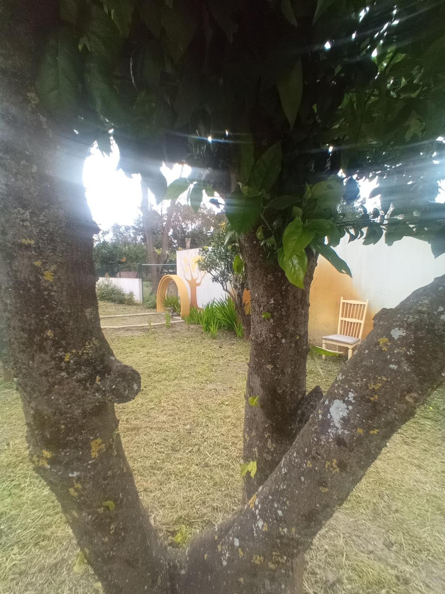 O Mundo Da Lua Villa Azeitao Luaran gambar