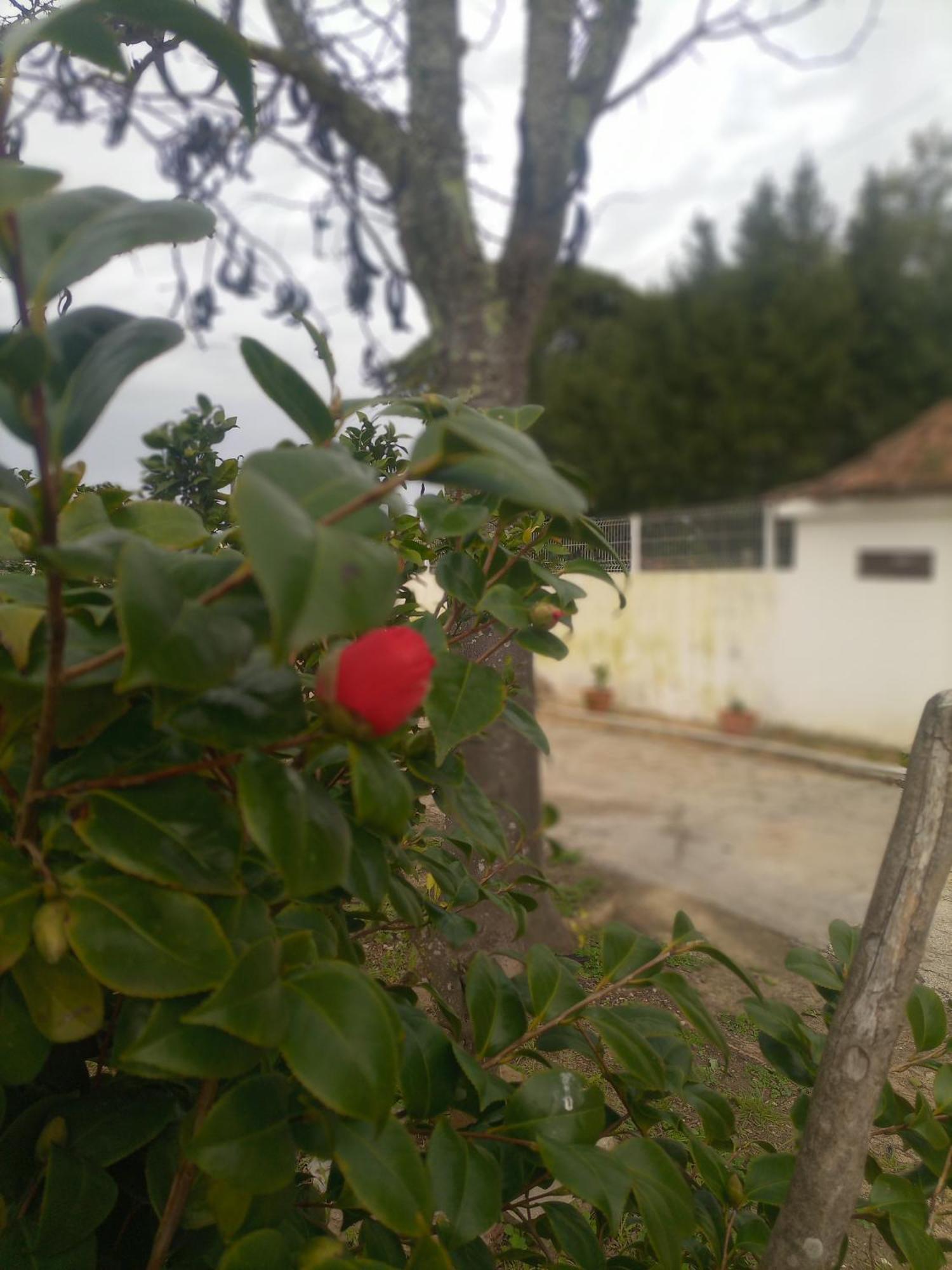 O Mundo Da Lua Villa Azeitao Luaran gambar