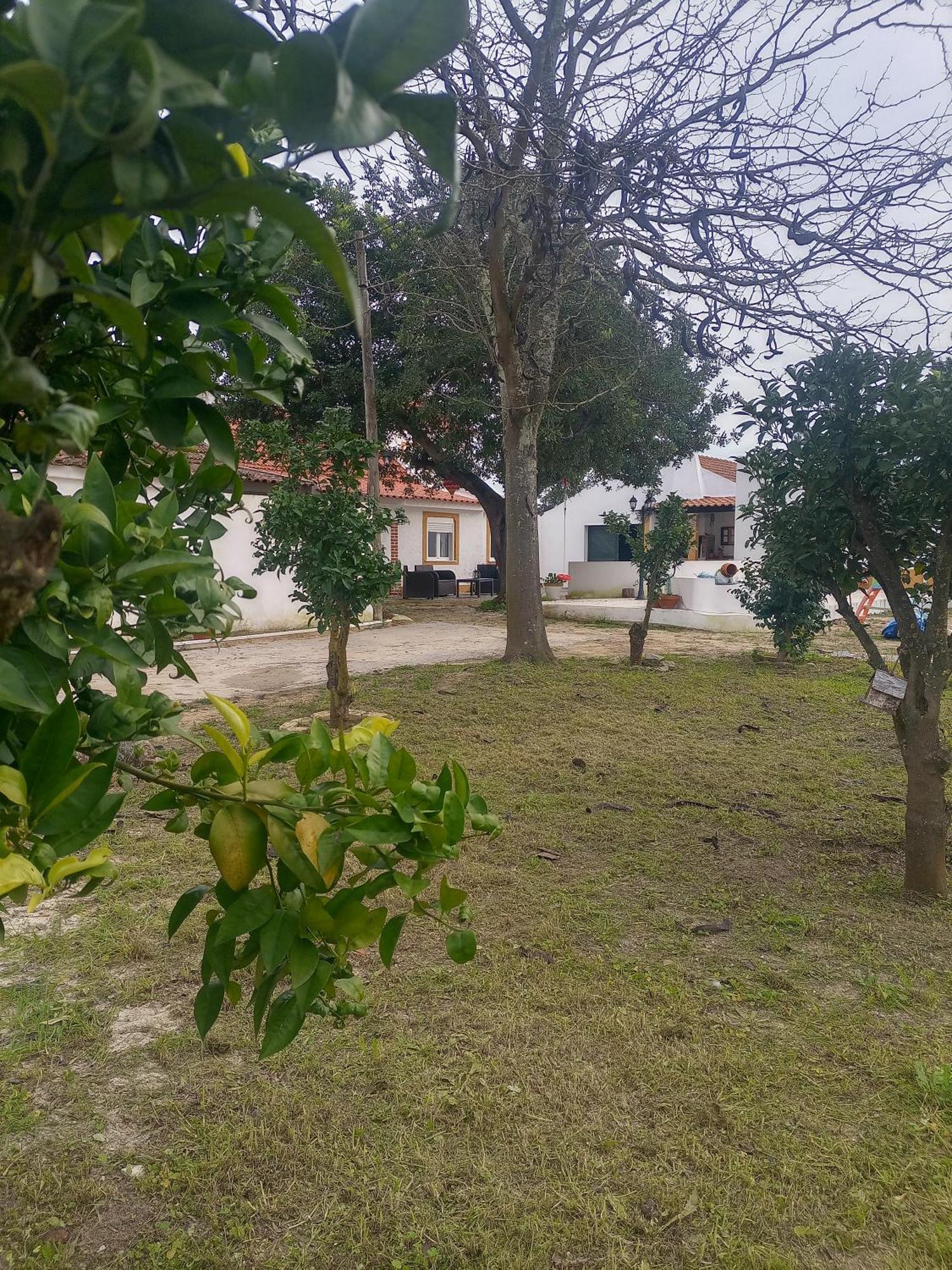 O Mundo Da Lua Villa Azeitao Luaran gambar