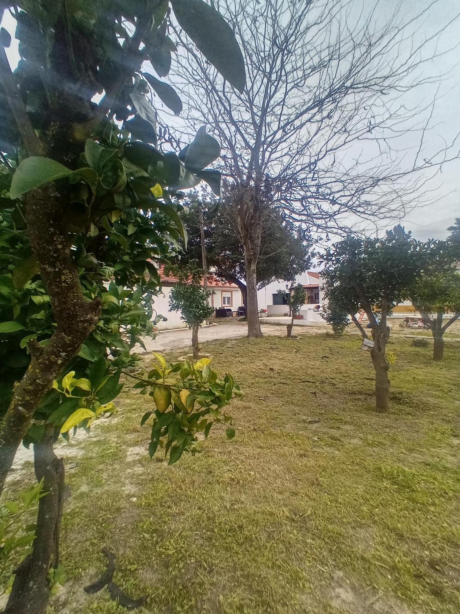 O Mundo Da Lua Villa Azeitao Luaran gambar