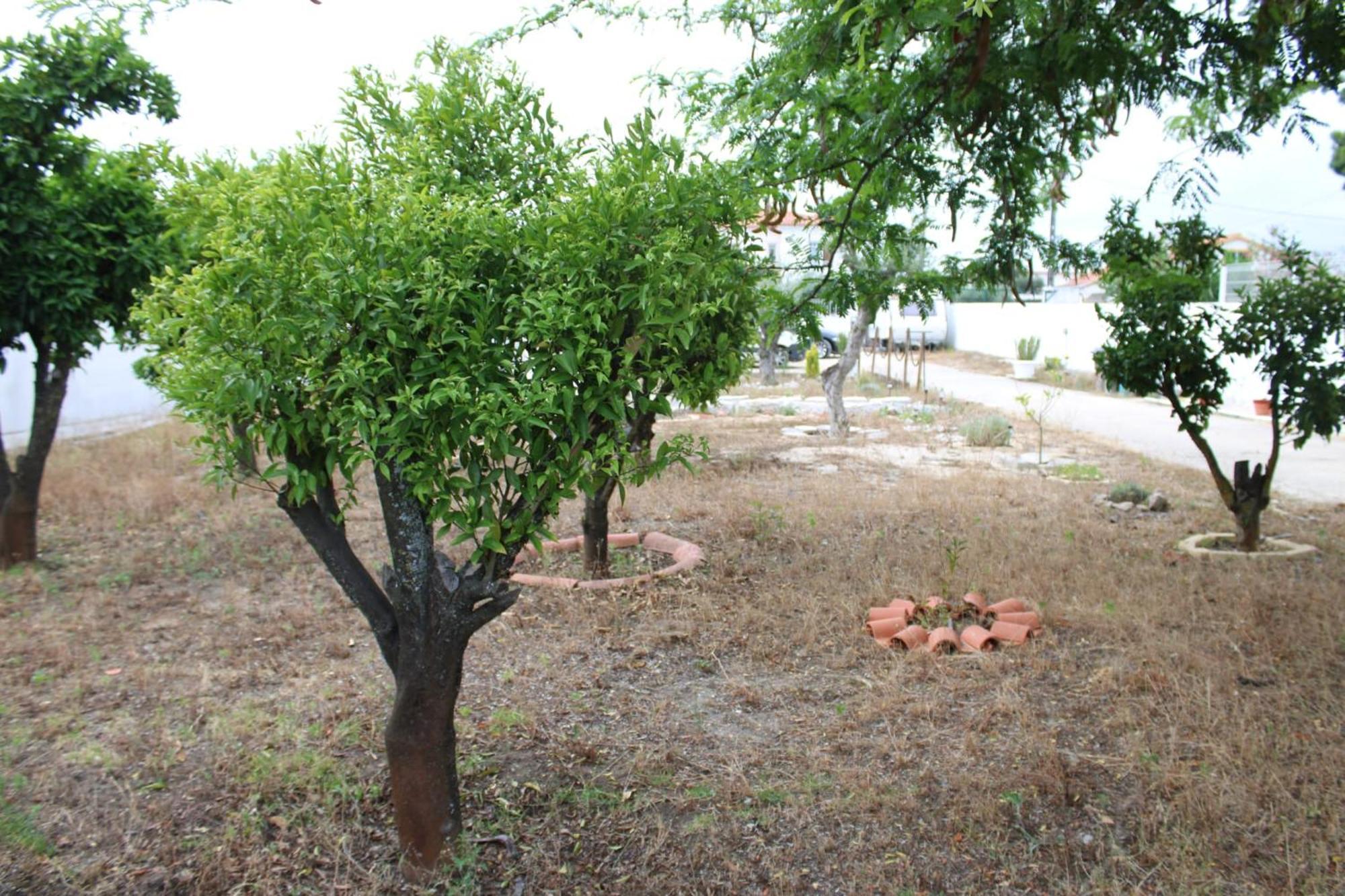 O Mundo Da Lua Villa Azeitao Luaran gambar