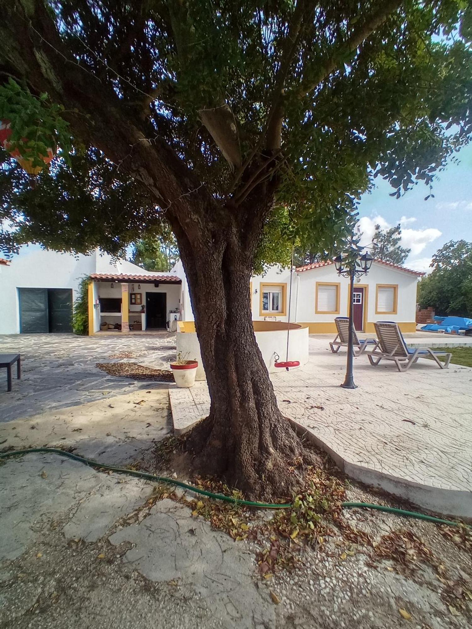 O Mundo Da Lua Villa Azeitao Luaran gambar